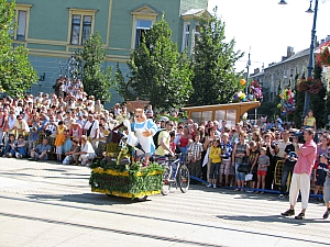 debreceni_virag_karneval_2009__007.JPG debreceni_virag_karneval_2009__007.JPG