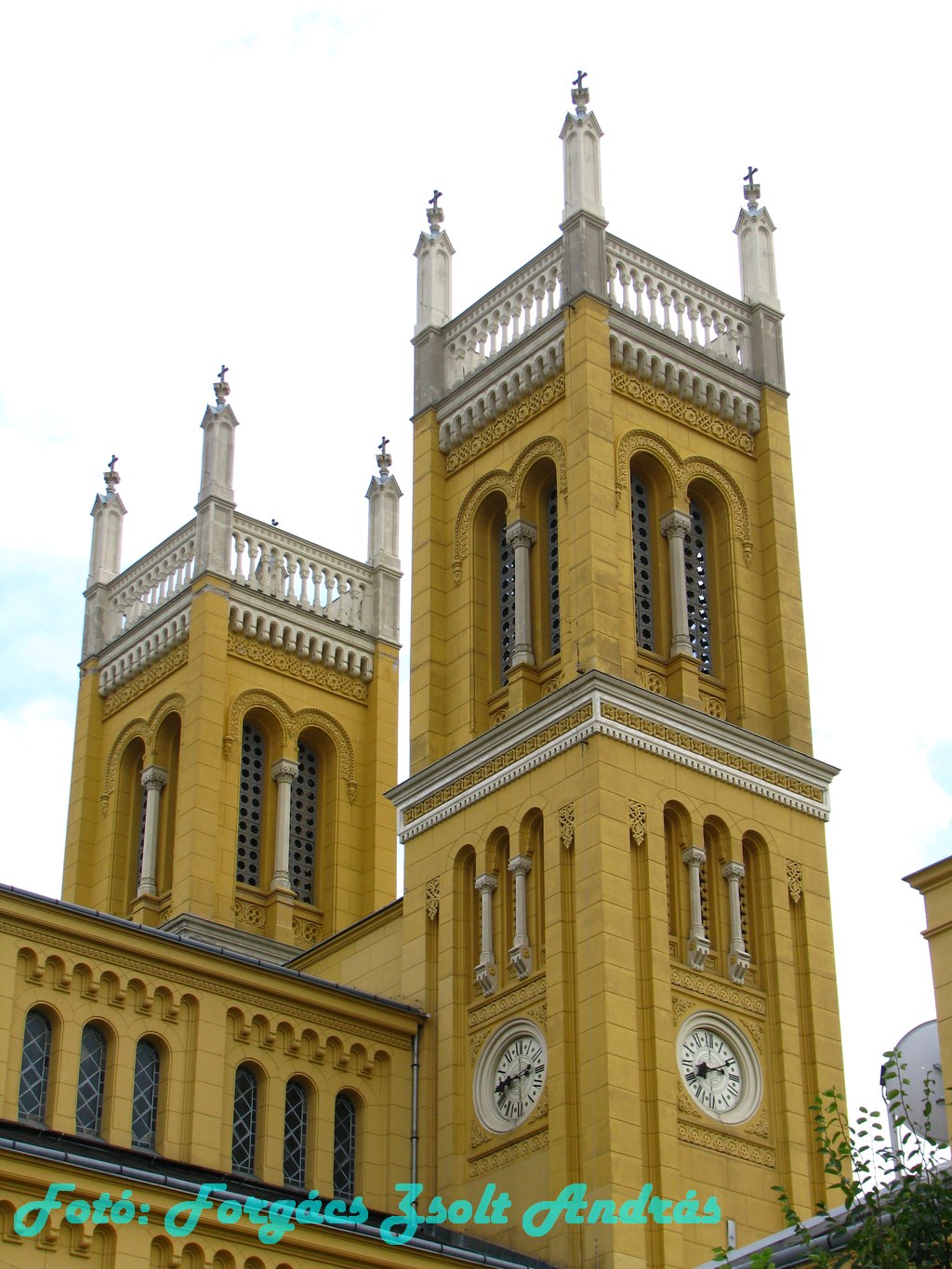 szeplotelen
