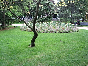 luxemburg_park_004.jpg luxemburg_park_004.jpg