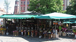 wroclaw_2012_foter___070.jpg wroclaw_2012_foter___070.jpg
