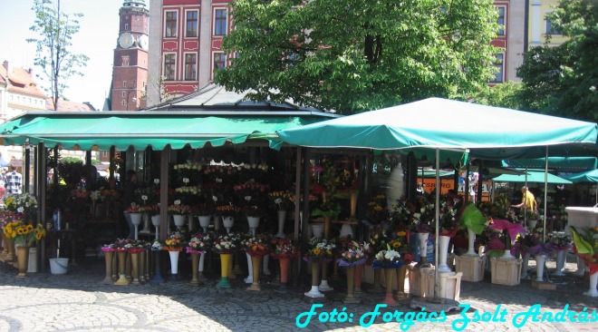 wroclaw_2012_foter___070.jpg