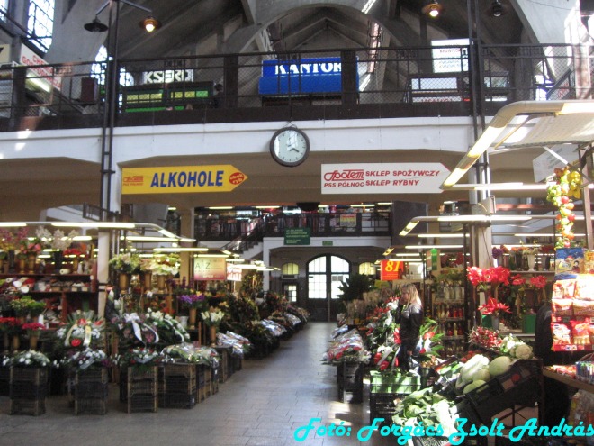 wroclaw_2012_hala_targowa___006.jpg