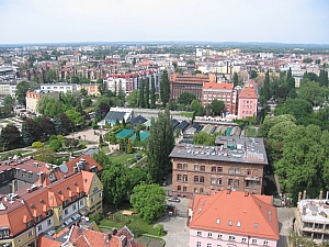 wroclaw_2012_cathedral_kilatas__003.jpg