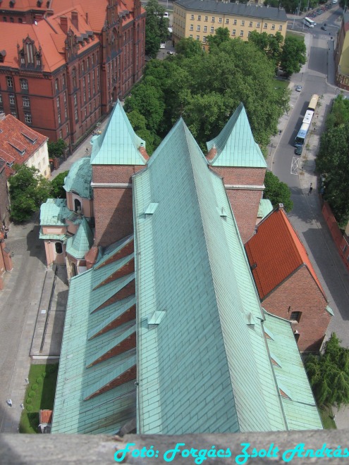 wroclaw_2012_cathedral__023.jpg