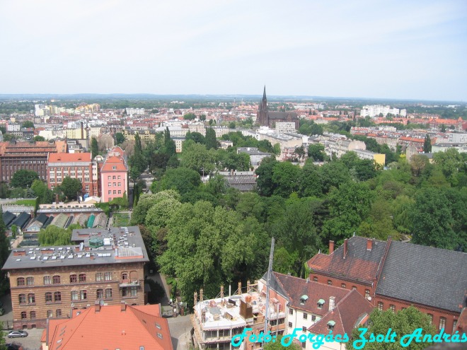 wroclaw_2012_cathedral_kilatas__002.jpg