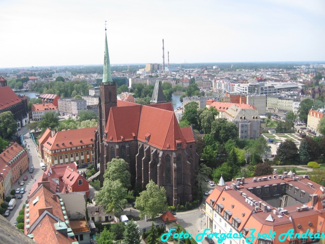 wroclaw_2012_cathedral_kilatas__005.jpg