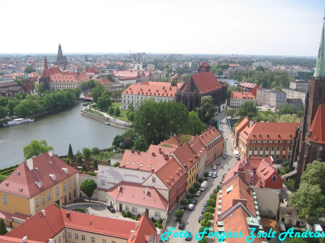 wroclaw_2012_cathedral_kilatas__006.jpg