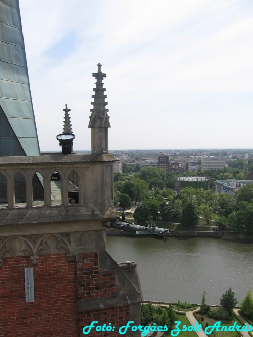 wroclaw_2012_cathedral_kilatas__011.jpg