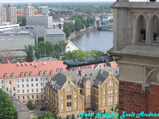 wroclaw_2012_cathedral_kilatas__012.jpg