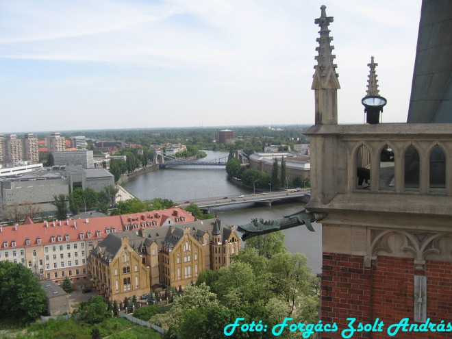 wroclaw_2012_cathedral_kilatas__013.jpg