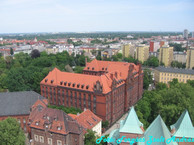 wroclaw_2012_cathedral_kilatas__017.jpg