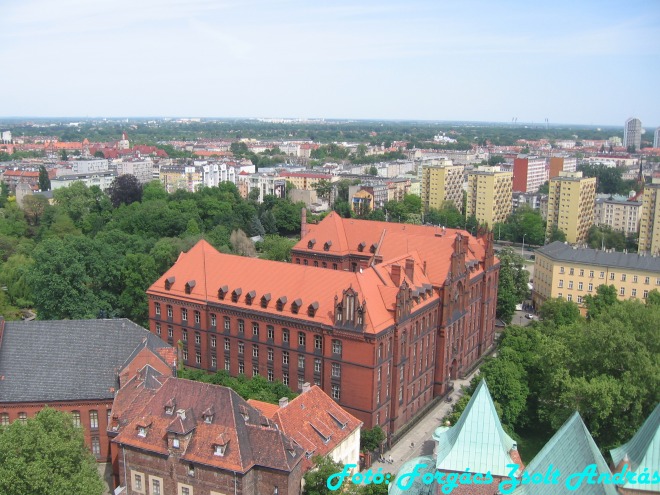 wroclaw_2012_cathedral_kilatas__018.jpg