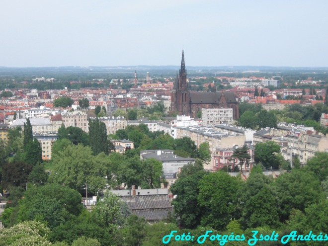 wroclaw_2012_cathedral_kilatas__020.jpg