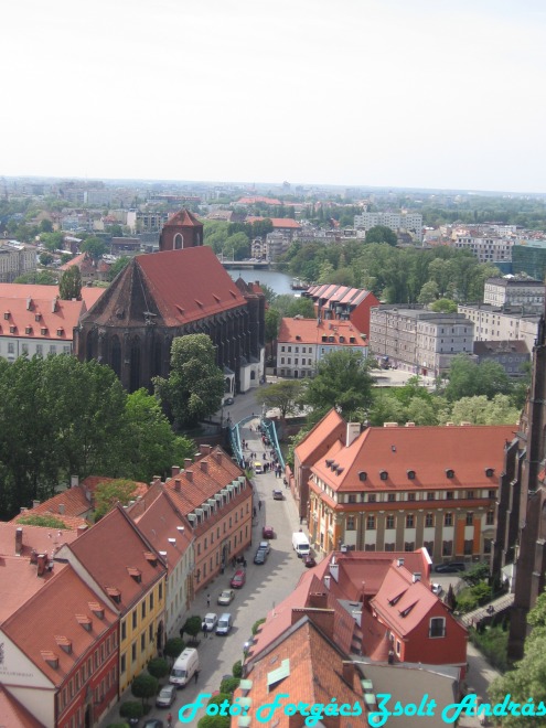 wroclaw_2012_cathedral_kilatas__024.jpg