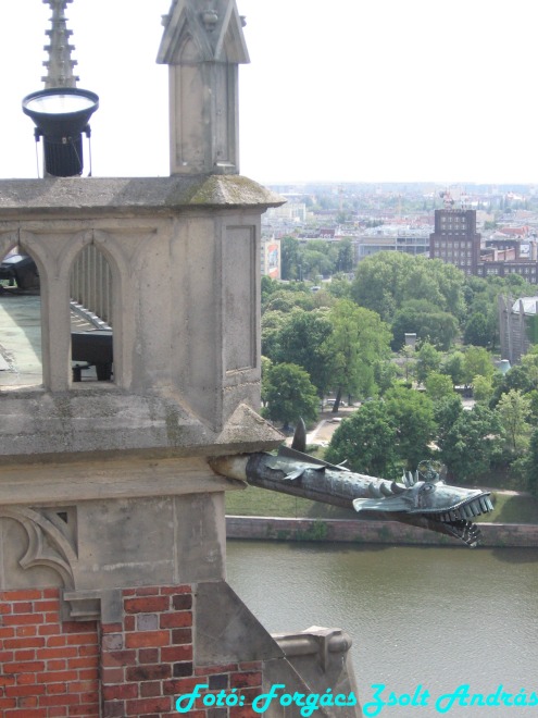 wroclaw_2012_cathedral_kilatas__030.jpg