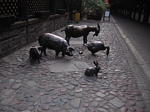 wroclaw_2012__165.jpg wroclaw_2012__165.jpg