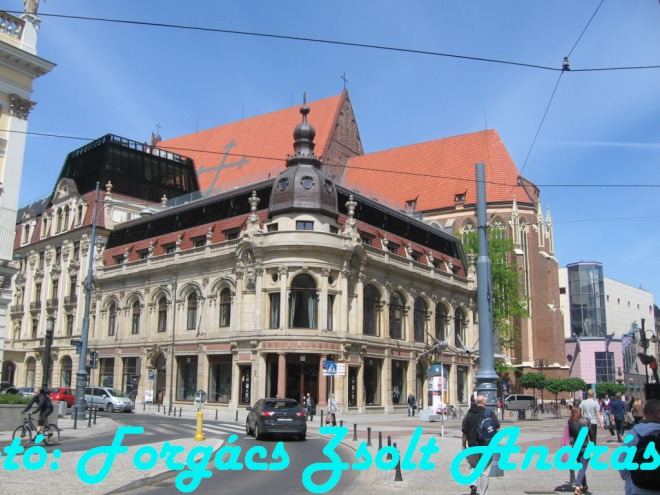 wroclaw_2012__037.jpg