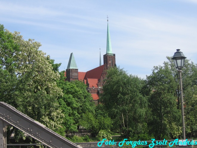 wroclaw_2012__112.jpg