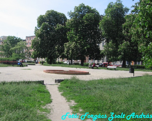 wroclaw_2012__124.jpg