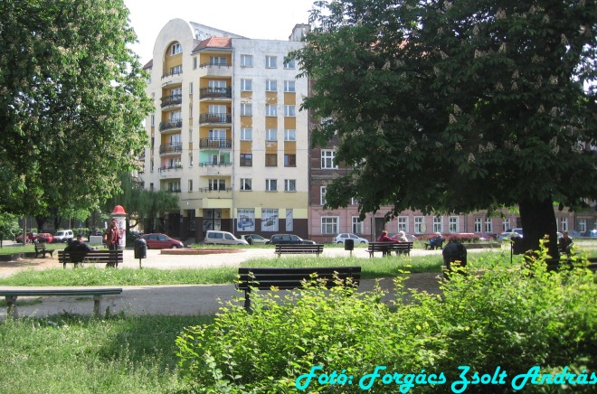 wroclaw_2012__131.jpg