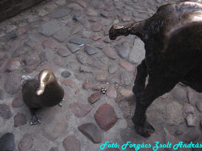 wroclaw_2012__167.jpg