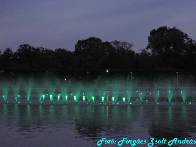 wroclaw_2012_wroclawska_fontanna__005.jpg