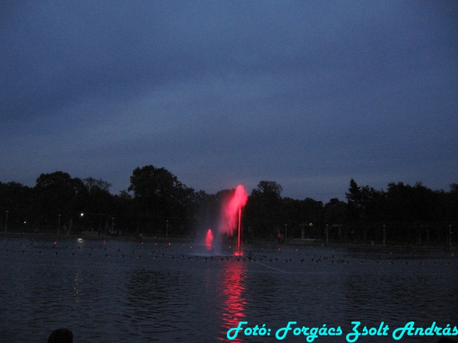 wroclaw_2012_wroclawska_fontanna__014.jpg