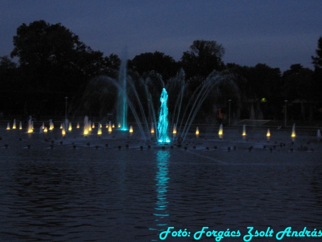 wroclaw_2012_wroclawska_fontanna__015.jpg