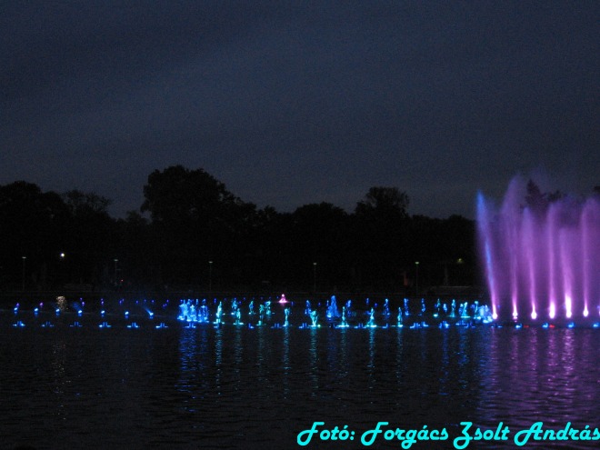 wroclaw_2012_wroclawska_fontanna__021.jpg