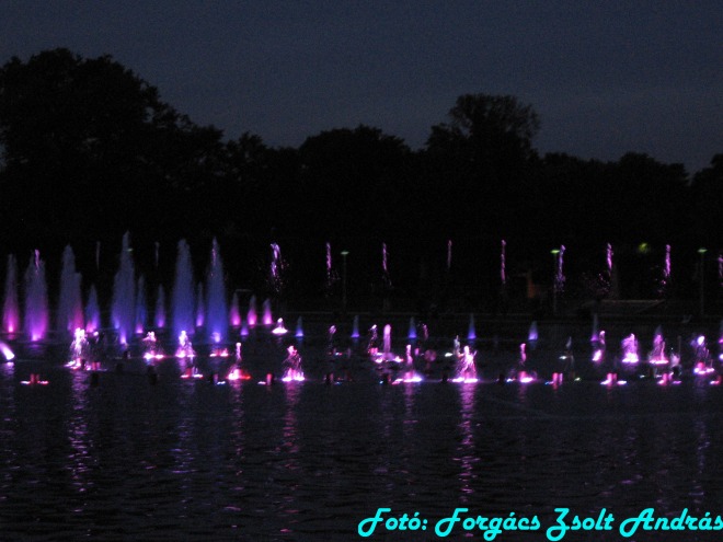 wroclaw_2012_wroclawska_fontanna__022.jpg