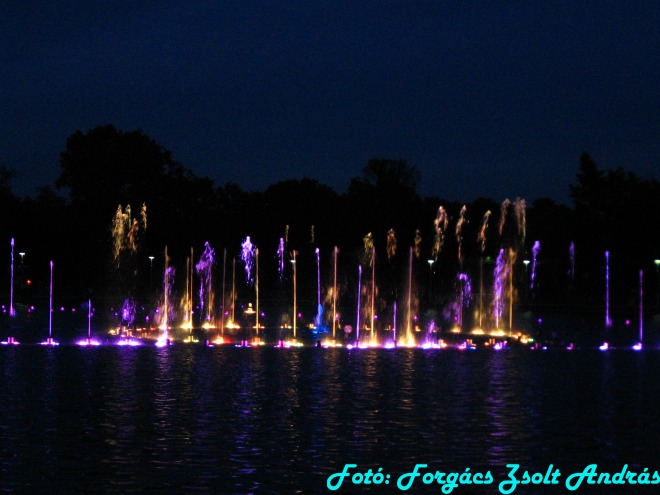 wroclaw_2012_wroclawska_fontanna__029.jpg