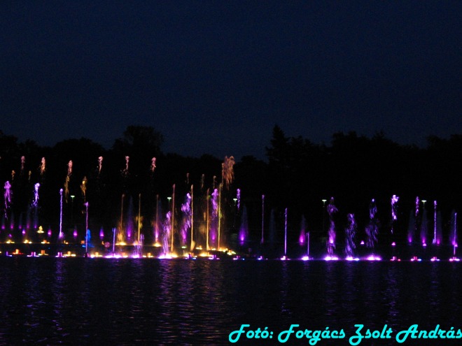 wroclaw_2012_wroclawska_fontanna__030.jpg