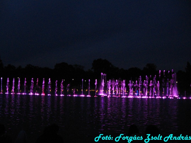 wroclaw_2012_wroclawska_fontanna__031.jpg