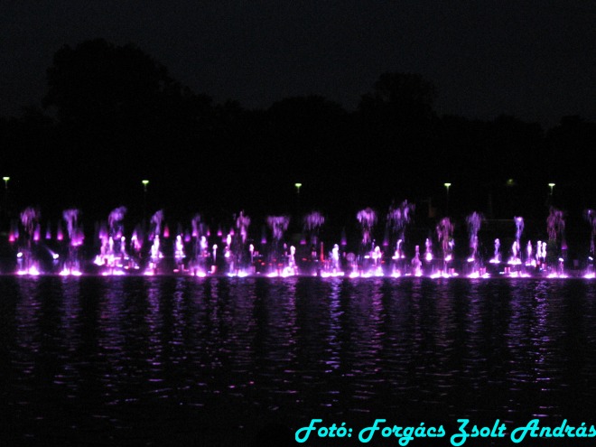 wroclaw_2012_wroclawska_fontanna__033.jpg