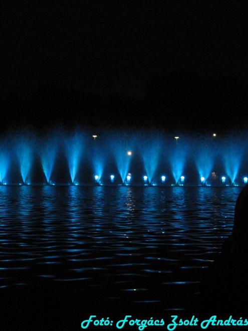 wroclaw_2012_wroclawska_fontanna__038.jpg