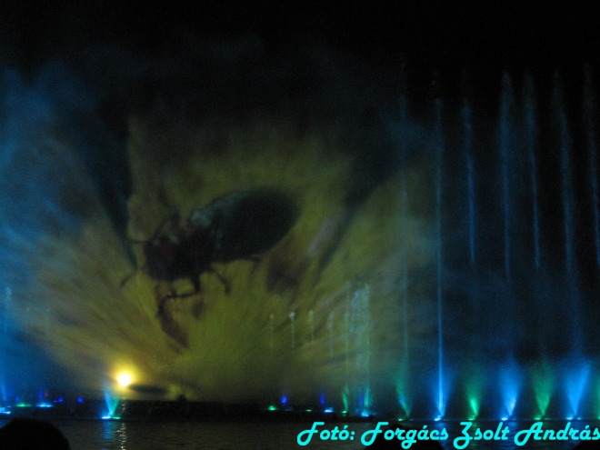 wroclaw_2012_wroclawska_fontanna__054.jpg