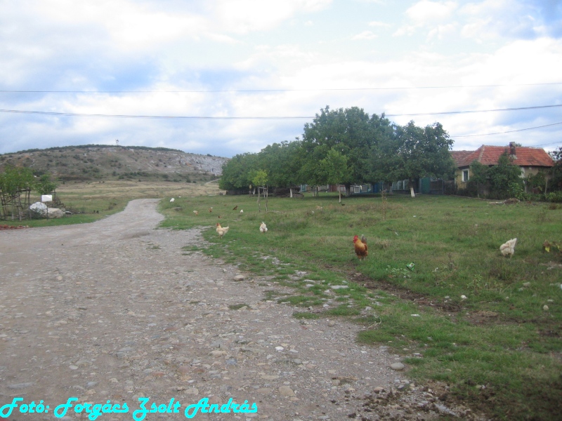 betfia_2013__001.JPG