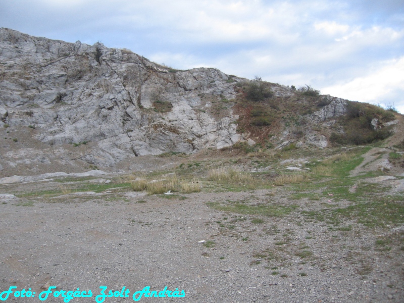 betfia_2013__011.JPG