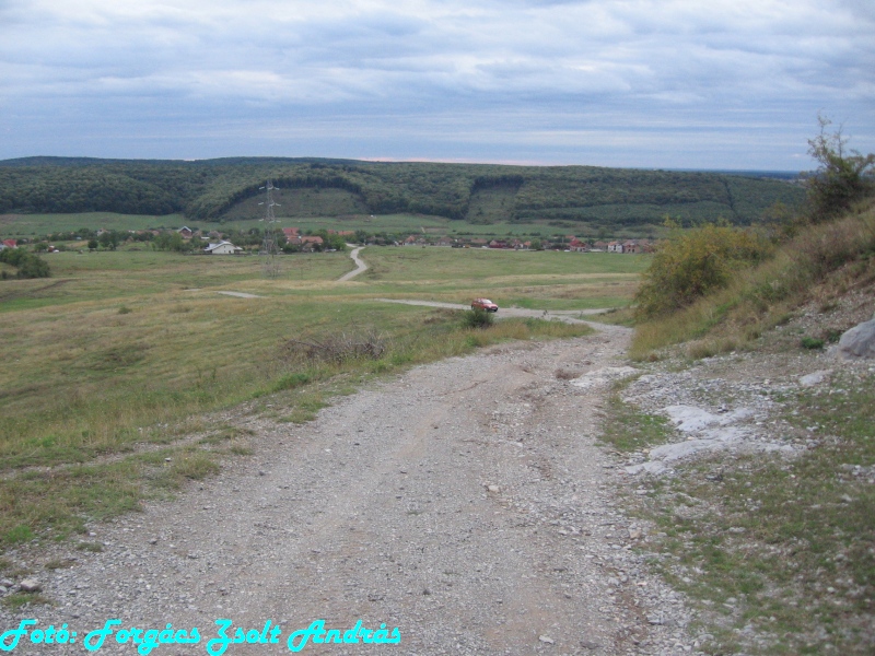 betfia_2013__013.JPG