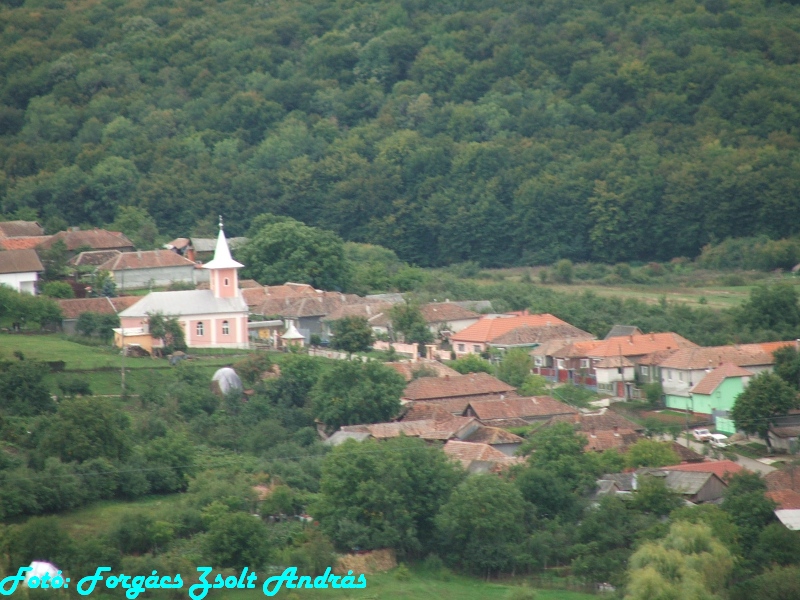 betfia_2013__016.JPG