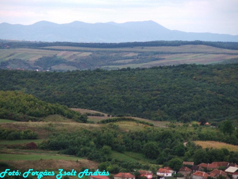betfia_2013__019.JPG