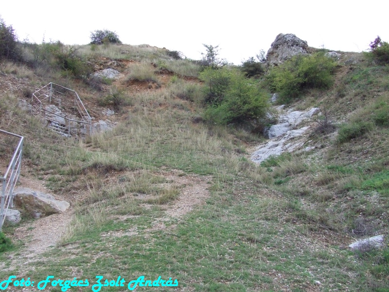 betfia_2013__030.JPG