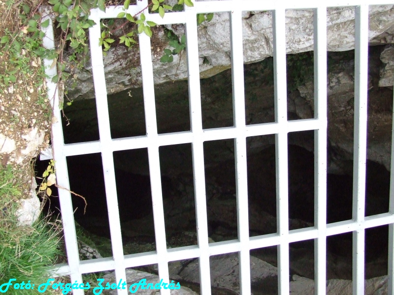 betfia_2013__034.JPG