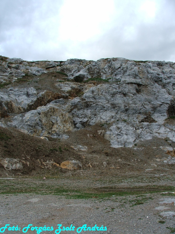 betfia_2013__038.JPG