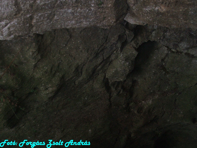 betfia_2013__043.JPG