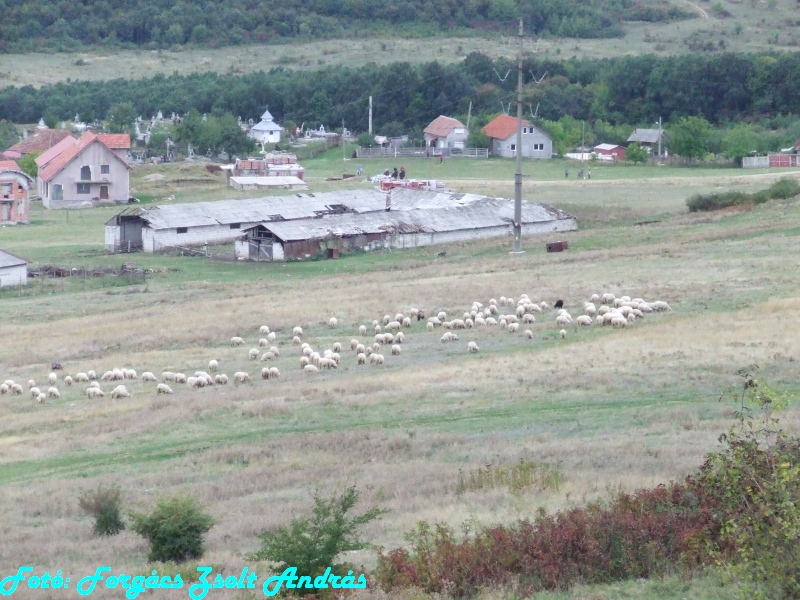 betfia_2013__060.JPG