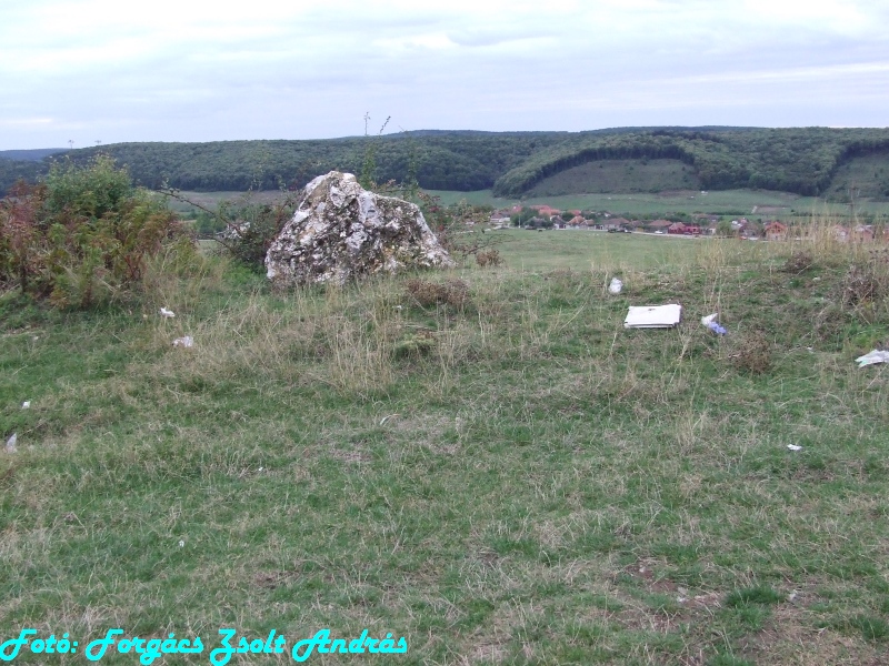 betfia_2013__063.JPG
