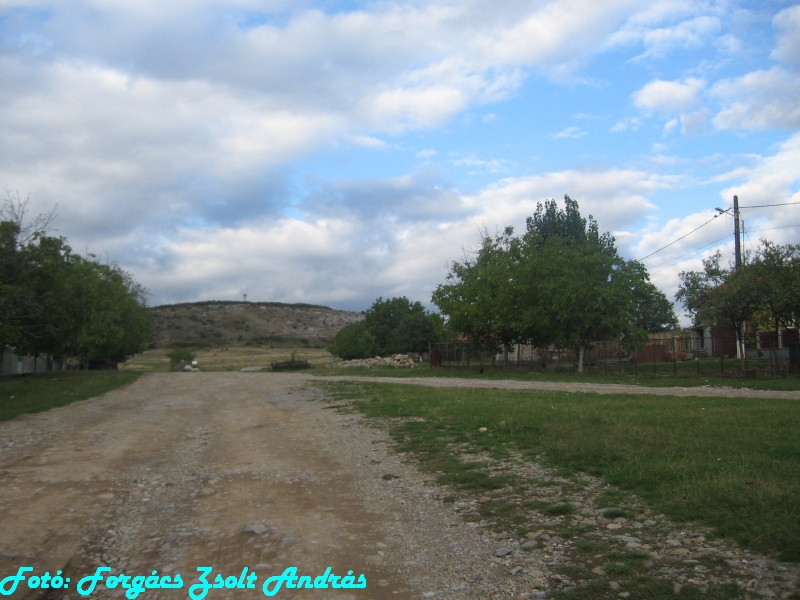 betfia_2013__073.JPG