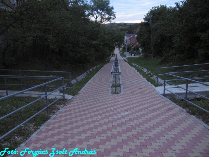 betfia_2013__081.JPG
