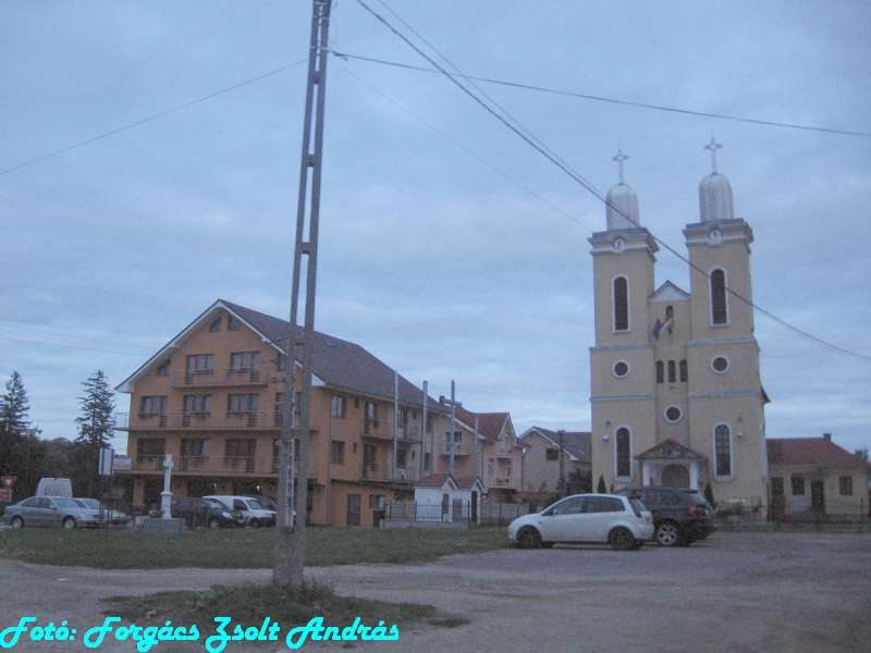 betfia_2013__087.JPG